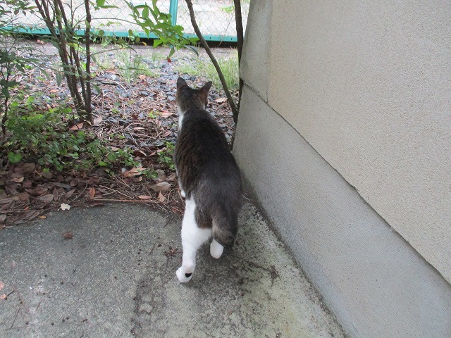 IMG_8729ss.jpg
