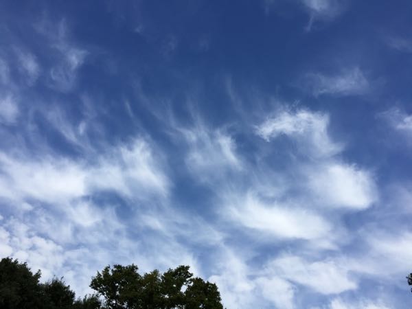 rblog-20180907074759-07.jpg