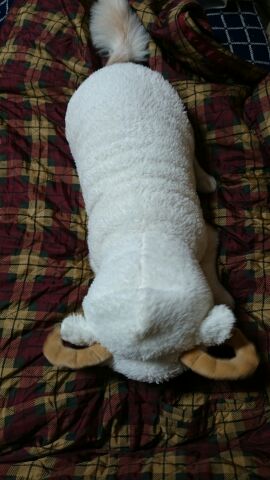 rblog-20141202154841-00.jpg
