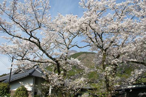DSC00925 - コピー.JPG