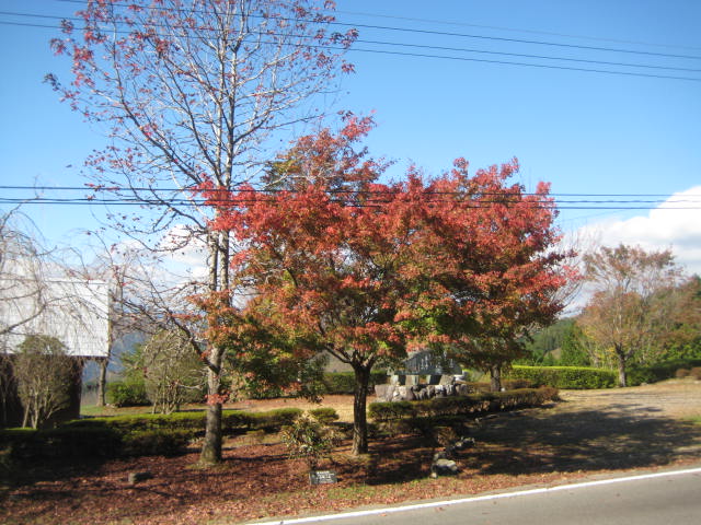 IMG_3793.JPG