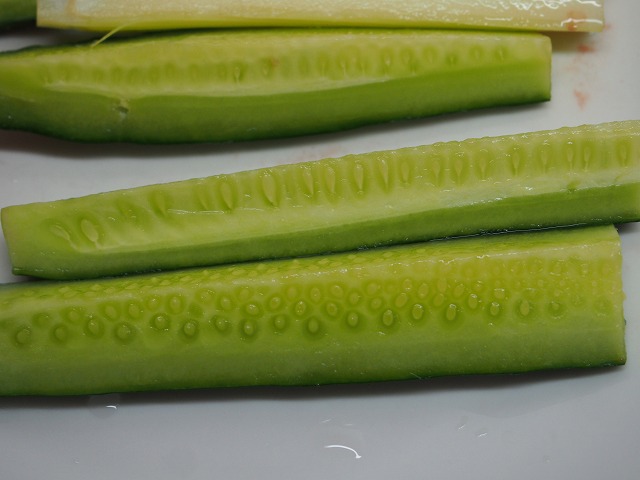 P6110018.jpg