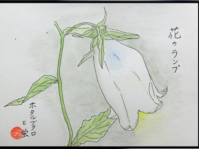 蛍ランプ