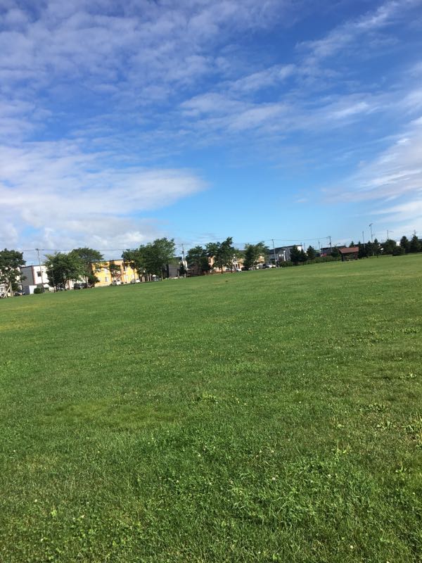 rblog-20180818192051-01.jpg