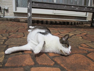 IMG_9621ss.jpg