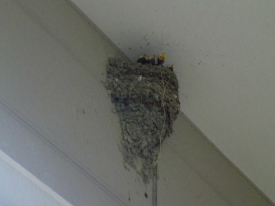 2012_0713画像0002.JPG