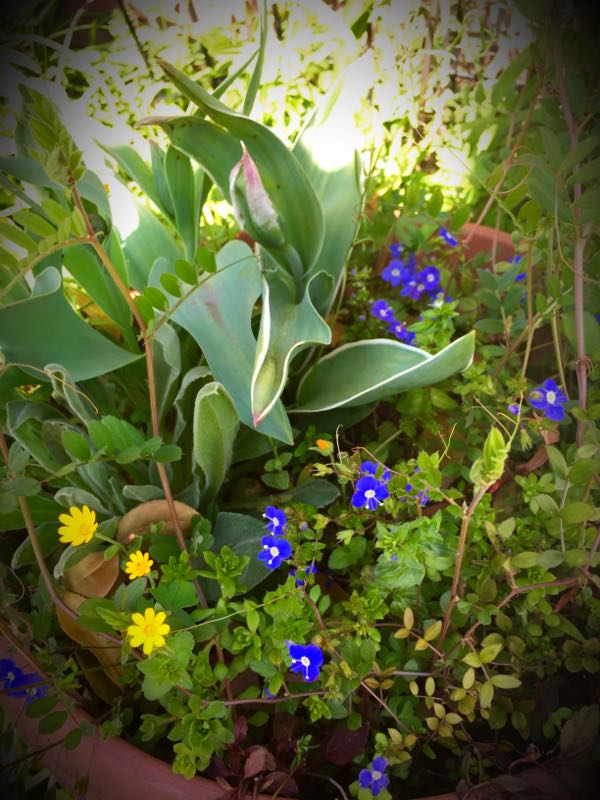 rblog-20150331195416-01.jpg