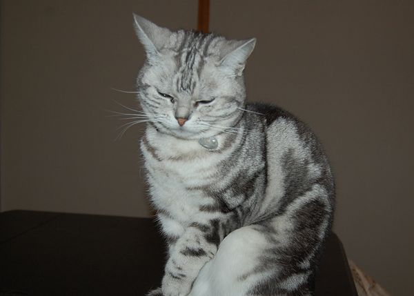 DSC_0002.JPG