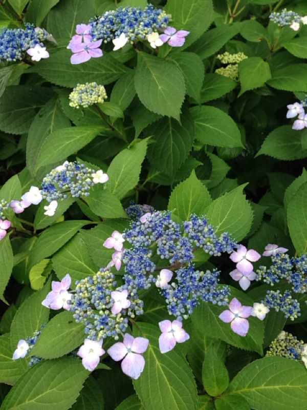 rblog-20140608230502-01.jpg