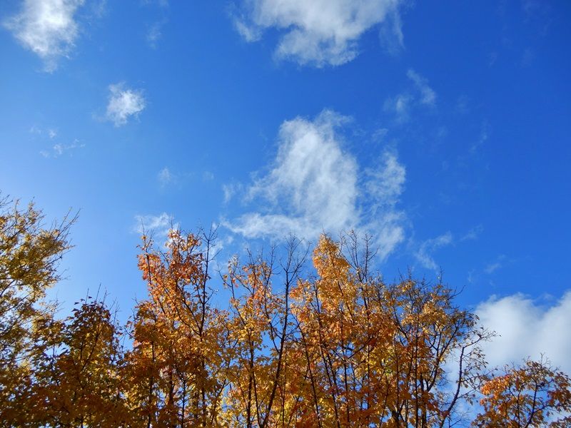 空4