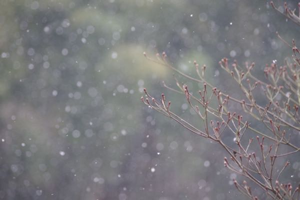 rblog-20180127224604-00.jpg