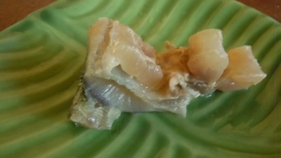 DSCN2874.jpg