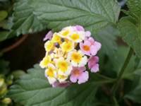 20150617ke.jpg