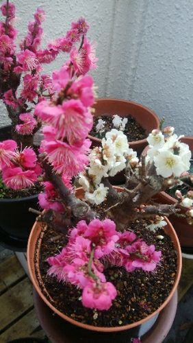 rblog-20180224070457-01.jpg
