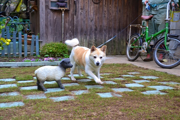 DSC_0602.JPG