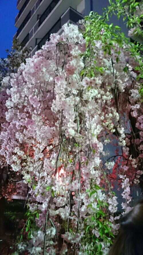 rblog-20170416094518-01.jpg
