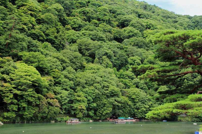 夏の嵐山_03.jpg