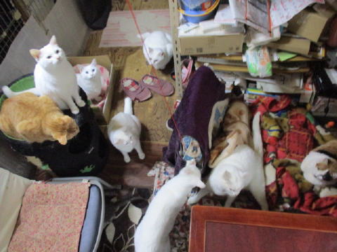 16a1029.jpg