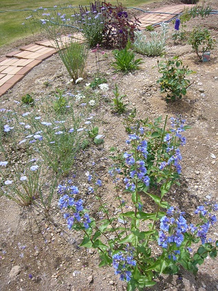 P1080388-2.JPG