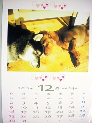 2012_1201_140346-SANY0026.JPG
