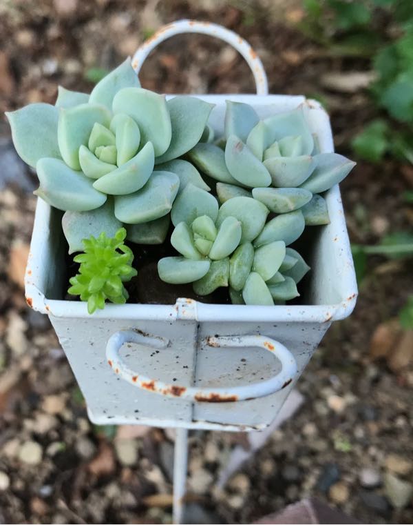 rblog-20180624181904-01.jpg
