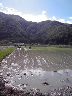 rblog-20150520113046-00.jpg
