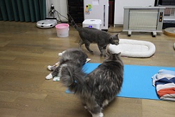 E7D_6266-14.jpg