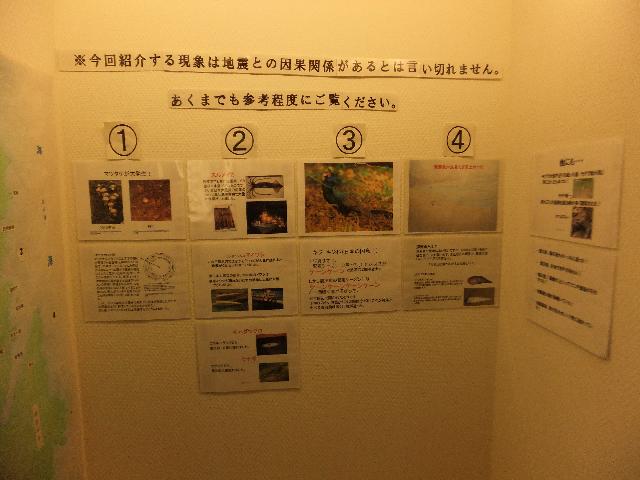 DSCF2783.jpg