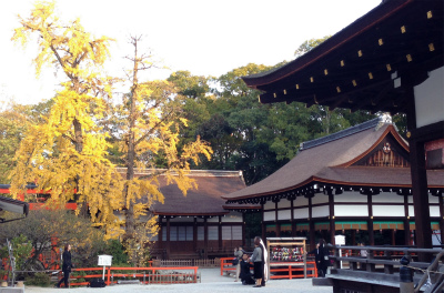 下鴨神社D