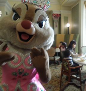 TDL