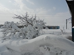 DSCN9813.jpg