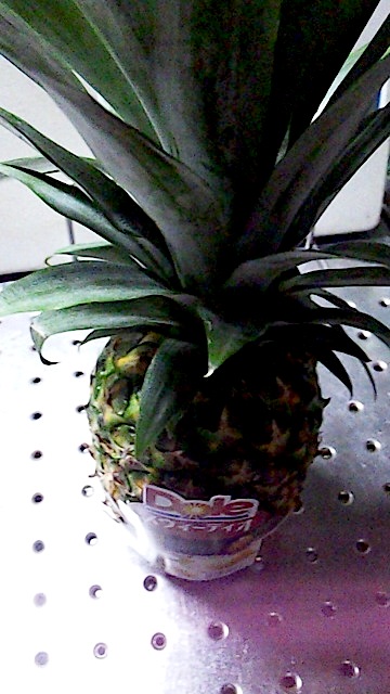 120808_194033.jpg