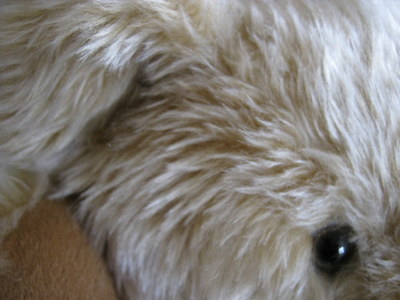 スマイリーベア　耳