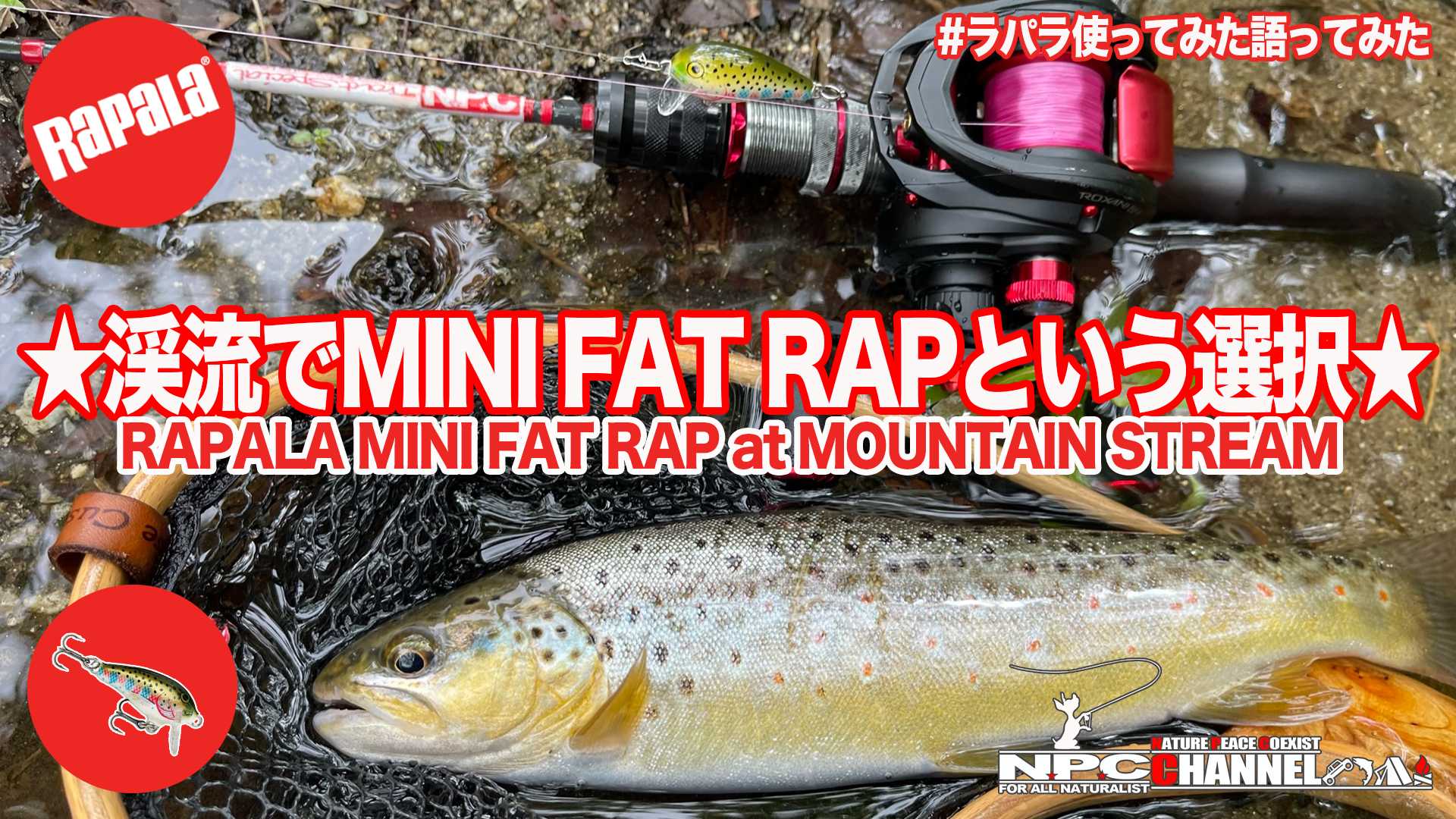 Rapala - Mini Fat Rap Lures