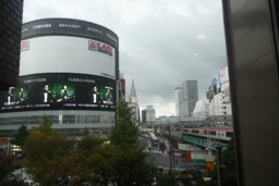 1P1030967.jpg