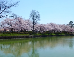 P1010519.JPG