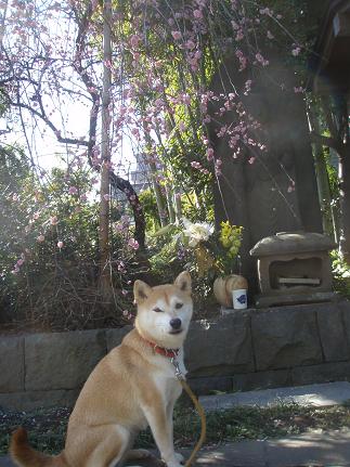 おやつのためなら