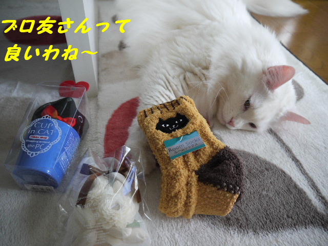 P1250606.JPG