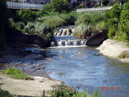 川口川.jpg