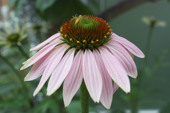 20160627002.JPG