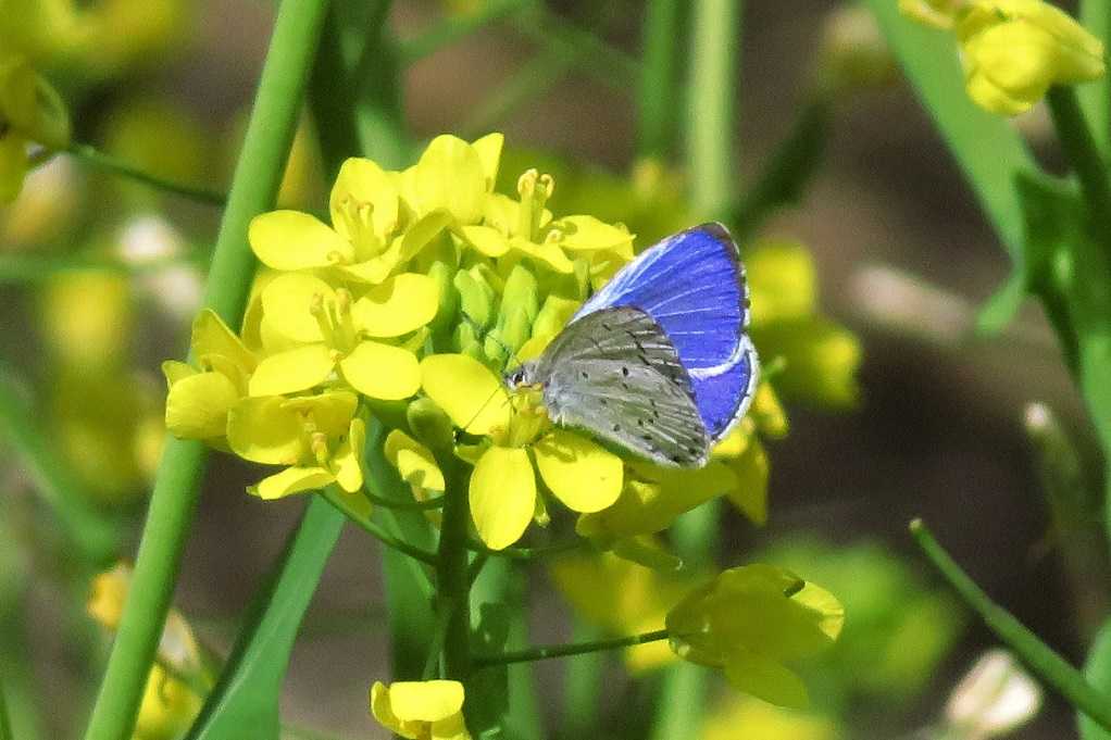 498