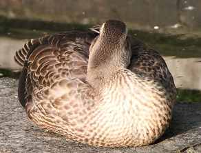 E7D_9173-2.jpg