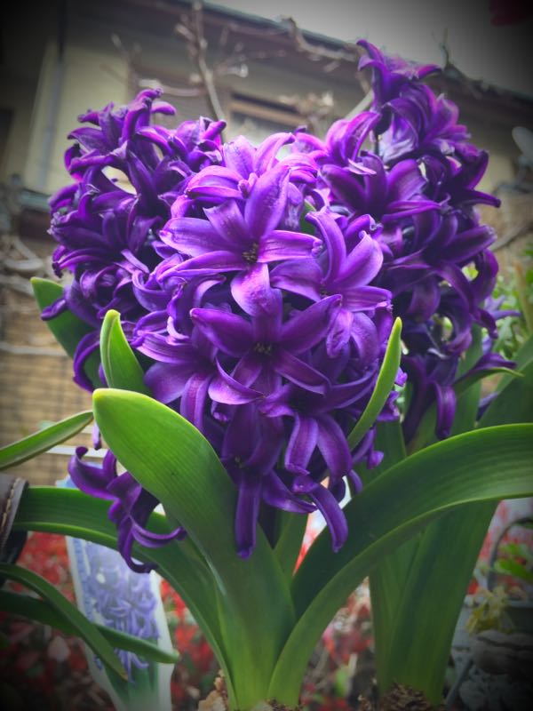 rblog-20160328170802-05.jpg