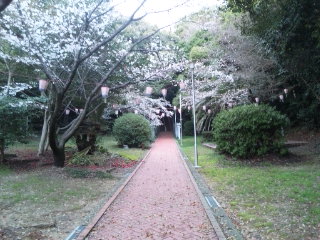 桜餅が食べたい