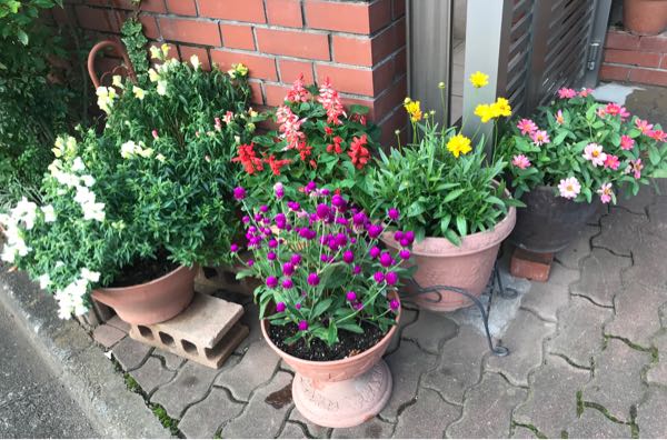 rblog-20180624181444-02.jpg