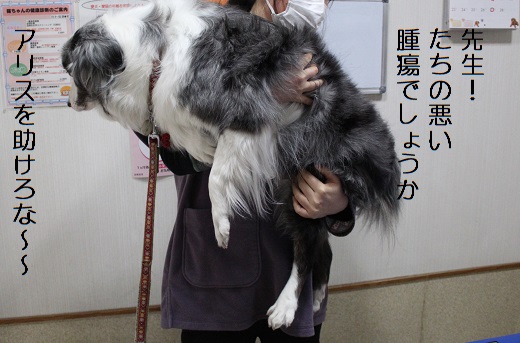 助けて