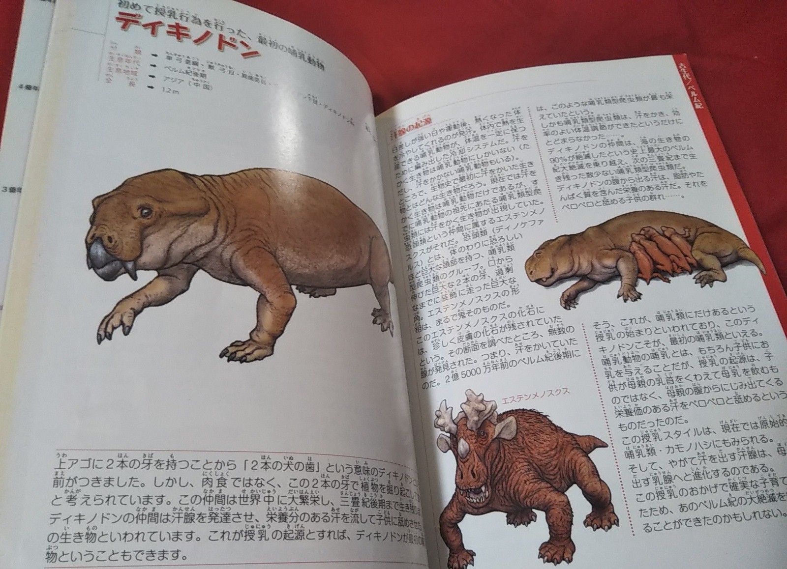 ｒ君が最近読んだ本 絶滅した奇妙な動物 ゆうのお料理日記 農業もやるよ ギフテッドの教育法も 楽天ブログ