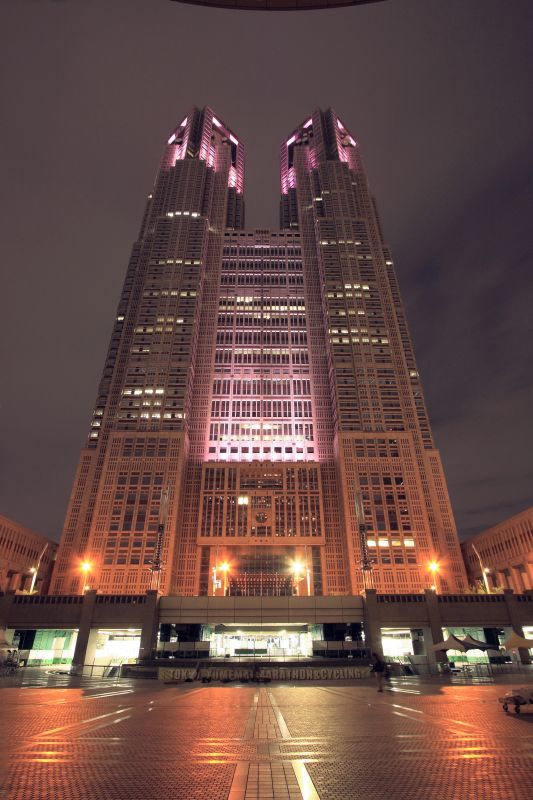 関東散策回顧_010都庁夜景.jpg