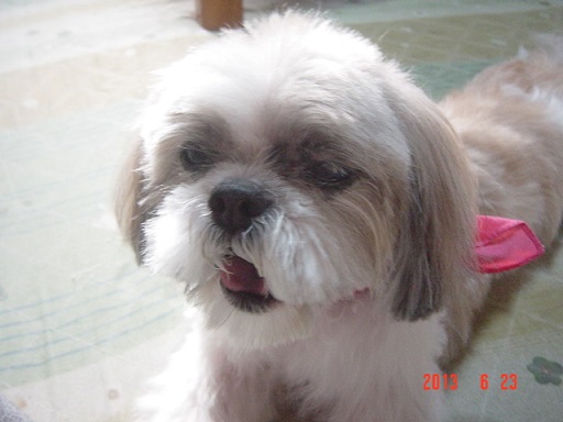 DSC01138.JPG