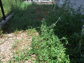 13706169808_pIpZehnplYUCY1370616979.gif